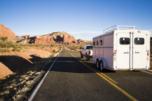 cargo trailer windows